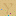 Magomobile.com Favicon