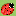 Pasarlascanutas.com Favicon