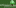 Growsonyou.com Favicon