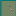 Spicybugz.com Favicon