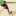 Vinsnaturels.fr Favicon