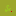 Niu.edu Favicon