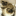 Funcraftsandrecipes.com Favicon