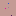 Mundovag.com Favicon