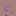 Maya-ethnobotanicals.com Favicon