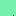 Syti.net Favicon
