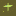 Rosario.org.mx Favicon