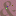 Huongduong.org Favicon