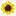Chennainetwork.com Favicon
