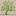Tradewindsfruit.com Favicon