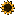Softoroom.net Favicon
