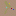 Expert.nl Favicon