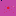Nydic.org Favicon