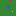 Plushasia.com Favicon