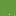 Chosaigon.com Favicon
