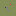Astroyogi.com Favicon