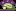 Pccnaturalmarkets.com Favicon