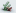 Officinepixel.com Favicon