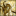 Knights.pl Favicon