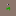 Exotic-pets.co.uk Favicon