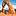 Westkueste-usa.de Favicon