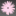Sosweetboutique.com Favicon