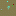 Colgate.com.mx Favicon