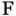 Foundshit.com Favicon
