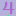 Wild-wonders.com Favicon