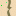 Ivorian.net Favicon