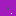 Wildsurf.com Favicon