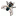 Arbico-organics.com Favicon
