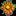 Internatural.com Favicon