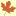 Familytreesearcher.com Favicon