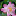 Dudus.hu Favicon