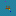 Gasjeans.com Favicon