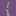 Backspin-shop.de Favicon