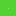 Traveljungle.es Favicon