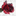 Boekwinkeltjes.nl Favicon