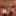 Xahoi24h.com Favicon