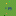 Scandisplay.co.za Favicon