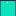 Express.com Favicon