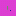 Champi.nl Favicon