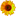 Lwfh.at Favicon