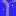 Mexico-moebel.de Favicon