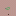 Rotana.net Favicon