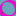 Amnesiashop.com Favicon