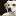 Hundefriseur-tierpflege.de Favicon