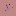 Kotzot.com Favicon