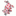 Krima-isa.de Favicon